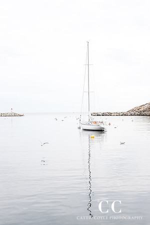 Morning in the Harbor | Cattie Coyle Photography