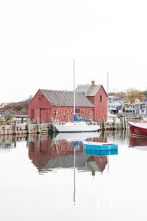Motif No. 1 | Cattie Coyle Photography