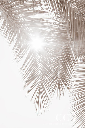 Summer by Cattie Coyle Photography