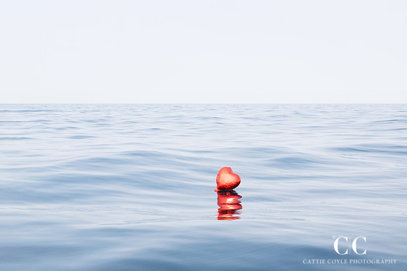 Lost and Found © Cattie Coyle Photography - All rights reserved
