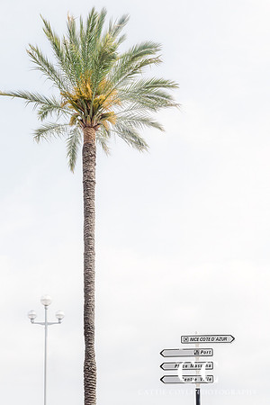 Nice, France | Cattie Coyle Photography