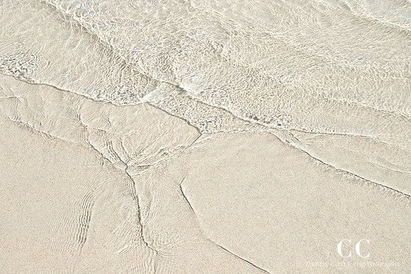 Shallow Water No. 2 by Cattie Coyle Photography