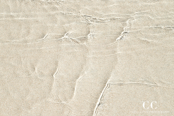 Shallow Water No. 1 by Cattie Coyle Photography