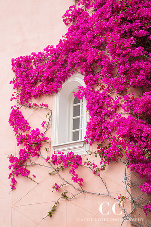 Pink House and Bougainvillea, Saint-Jean-Cap-Ferrat, France | Cattie Coyle Photography
