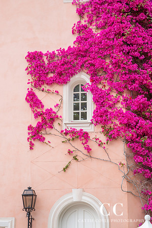 Pink House and Bougainvillea, Saint-Jean-Cap-Ferrat, France | Cattie Coyle Photography