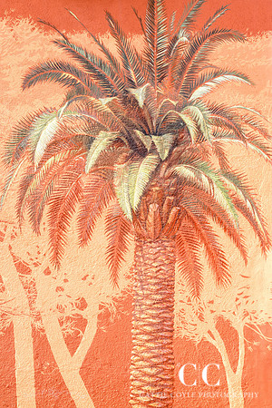 Palm Tree wall mural, Saint-Jean-Cap-Ferrat, France | Cattie Coyle Photography