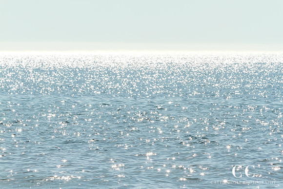 Sun Glitter by Cattie Coyle Photography