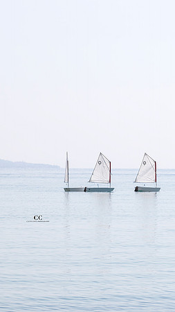 The Little Sailboats No 3 by Cattie Coyle Photography Phone Wallpaper