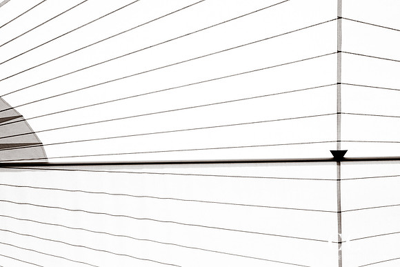 Sail No. 8