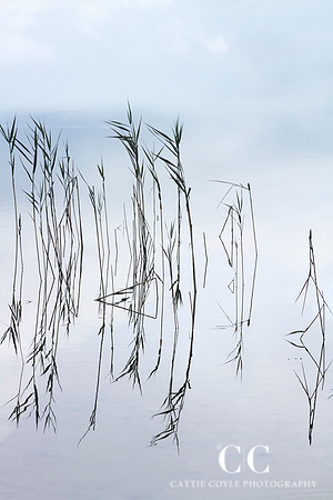 Reflections No. 3 Fine art photography print by Cattie Coyle