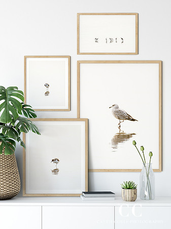 Bird photography gallery wall by Cattie Coyle Photography