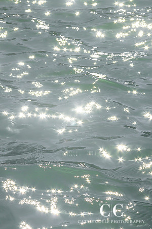 Sunstars | Cattie Coyle Photography
