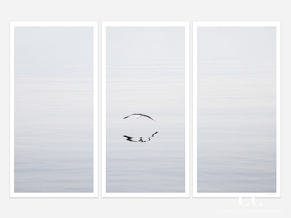 Early Morning Flight - Triptych by Cattie Coyle Photography