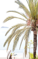 Morning in Menton | Cattie Coyle Photography