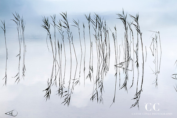 Reflections No 2