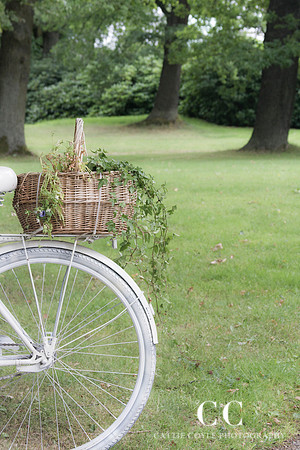 Bicycle | Cattie Coyle Photography