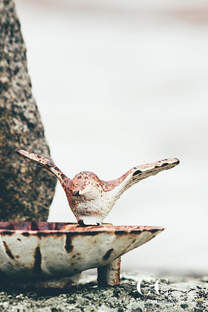 BIrd sculpture | Cattie Coyle Photography