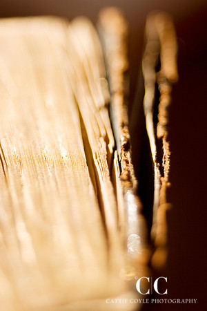 Book No. 3 | Cattie Coyle Photography