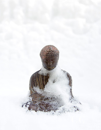 Buddha in snow | Cattie Coyle Photography