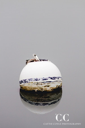 Buoy | Cattie Coyle Photography