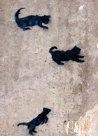Cats No. 1