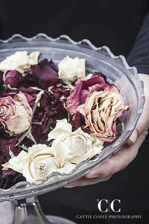 Dried Roses No. 1 | Cattie Coyle Photography
