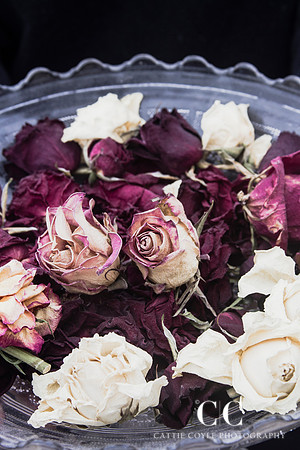 Dried Roses No. 3 | Cattie Coyle Photography