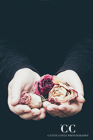 Dried Roses No. 4 | Cattie Coyle Photography