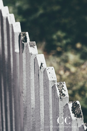 Fence | Cattie Coyle Photography