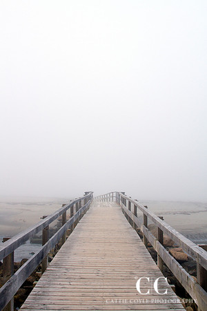 Footbridge in fog | Cattie Coyle Photography