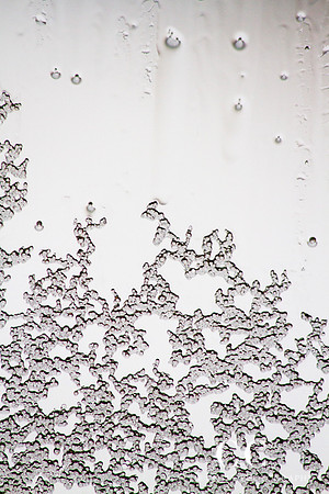 Ice on window | Cattie Coyle Photography