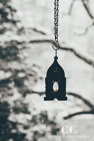 Lantern | Cattie Coyle Photography