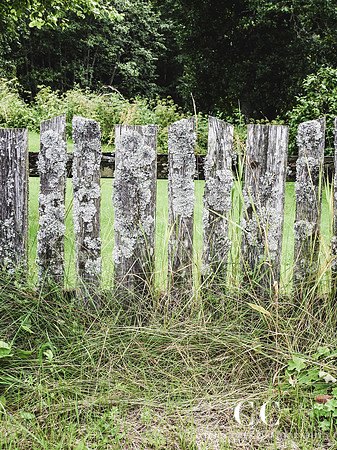 Wood fence | Cattie Coyle Photography