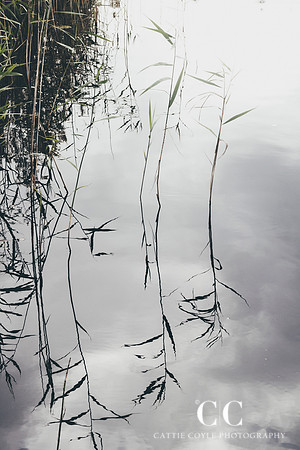 Reflections 1 | Cattie Coyle Photography