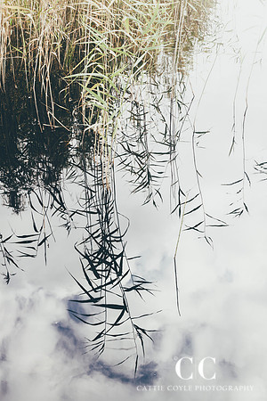 Reflections 5 | Cattie Coyle Photography