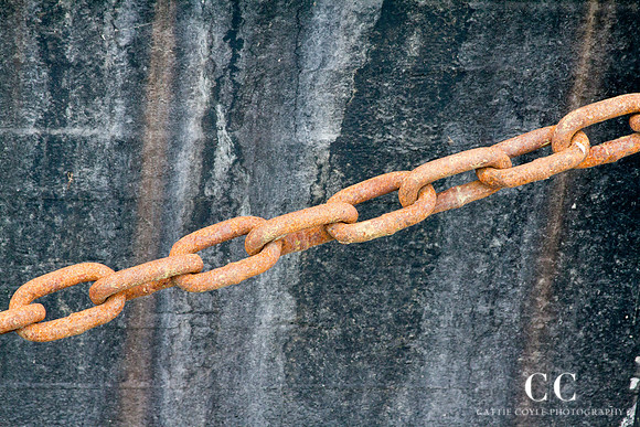 Rusty chain | Cattie Coyle Photography