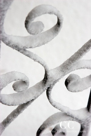 Scrolls | Cattie Coyle Photography