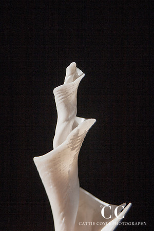 Seashell No. 4 | Cattie Coyle Photography