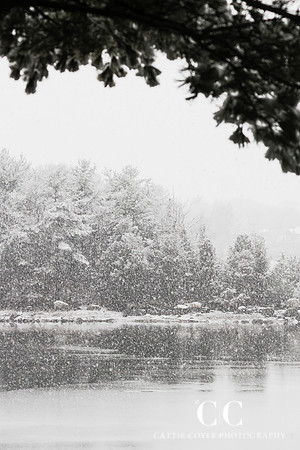 Snow 11 | Cattie Coyle Photography