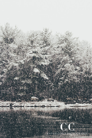 Winter Scenes No. 2