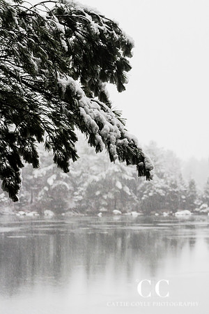 Snow 15 | Cattie Coyle Photography