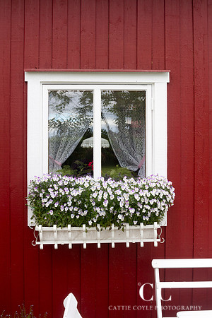 Window | Cattie Coyle Photography