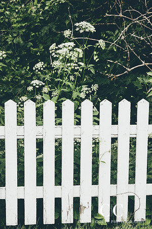 White fence | Cattie Coyle Photography