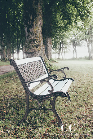 Bench | Cattie Coyle Photography
