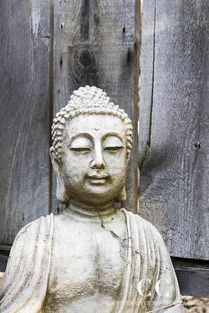 Buddha | Cattie Coyle Photography