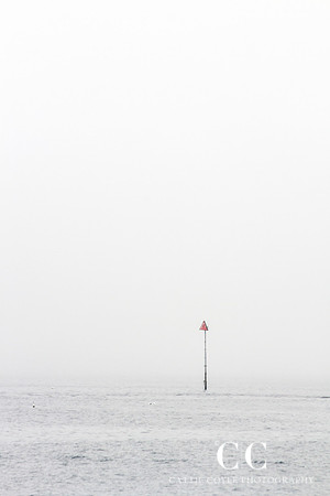 Fog No. 2 | Cattie Coyle Photography