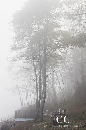 Fog No. 4 | Cattie Coyle Photography