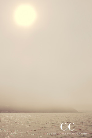 Fog No. 1 | Cattie Coyle Photography