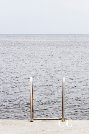 Ladder | Cattie Coyle Photography