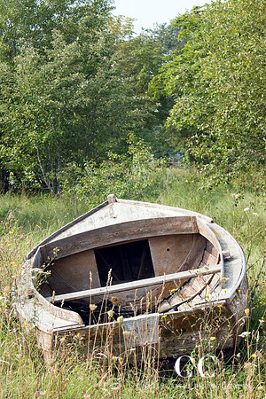 Abandoned boat | Cattie Coyle Photography